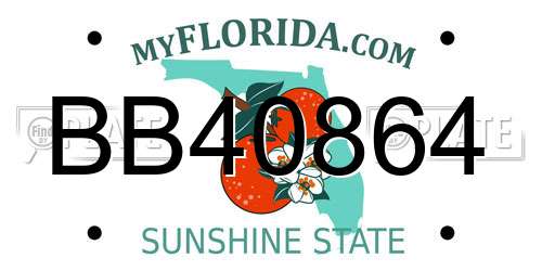 BB40864 Florida License Plate