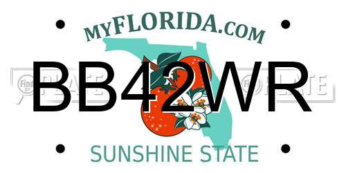 BB42WR Florida License Plate