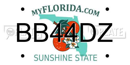 BB44DZ Florida License Plate