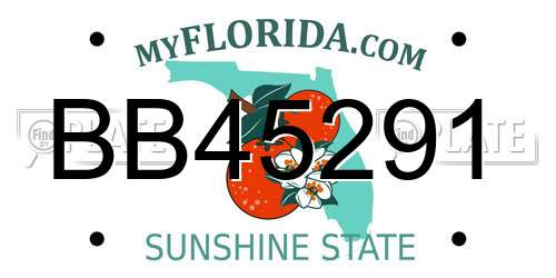 BB45291 Florida License Plate