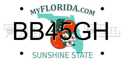 BB45GH Florida License Plate