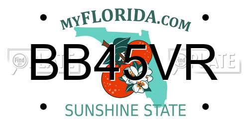 BB45VR Florida License Plate