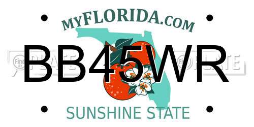BB45WR Florida License Plate