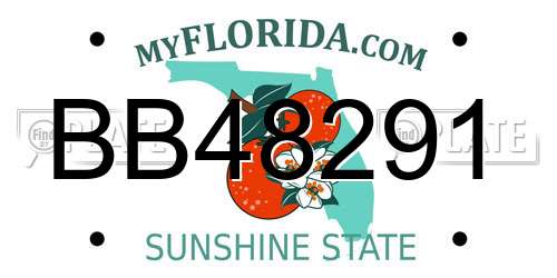 BB48291 Florida License Plate