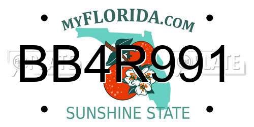 BB4R991 Florida License Plate