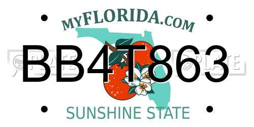 BB4T863 Florida License Plate