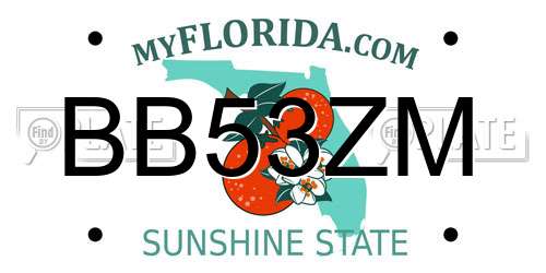BB53ZM Florida License Plate