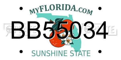 BB55034 Florida License Plate