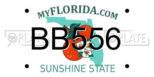 BB556 Florida License Plate