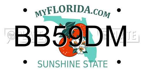 BB59DM Florida License Plate