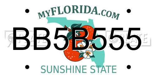 BB5B555 Florida License Plate