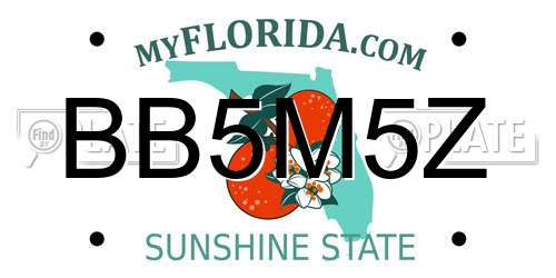 BB5M5Z Florida License Plate