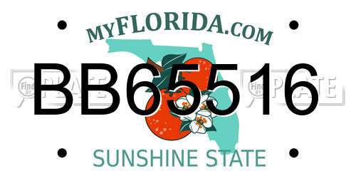 BB65516 Florida License Plate