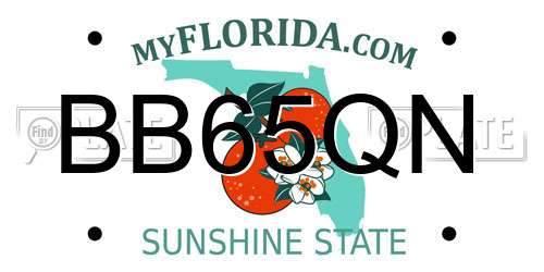 BB65QN Florida License Plate