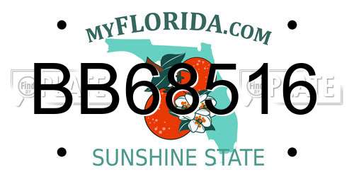 BB68516 Florida License Plate