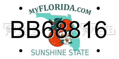 BB68816 Florida License Plate
