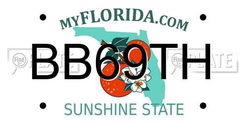 BB69TH Florida License Plate
