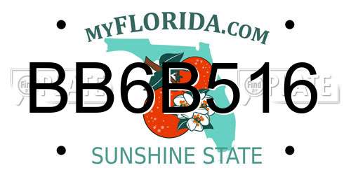 BB6B516 Florida License Plate