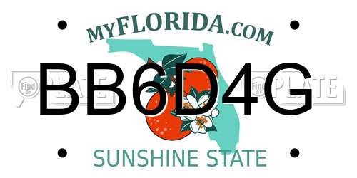 BB6D4G Florida License Plate