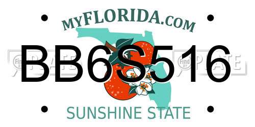 BB6S516 Florida License Plate