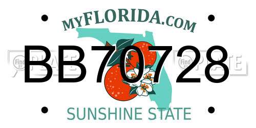 BB70728 Florida License Plate