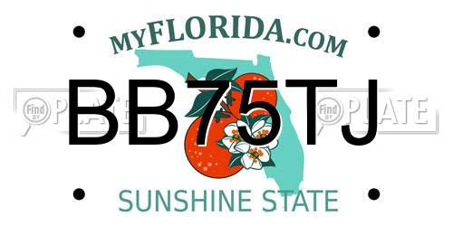BB75TJ Florida License Plate
