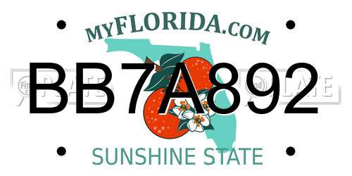 BB7A892 Florida License Plate