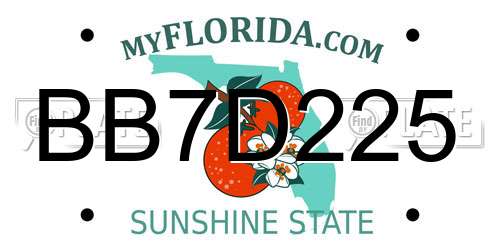 BB7D225 Florida License Plate