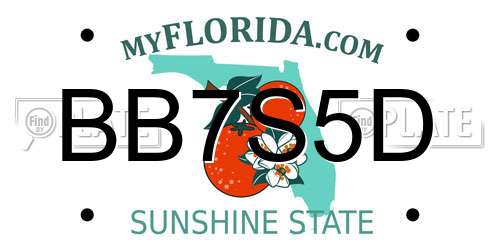 BB7S5D Florida License Plate