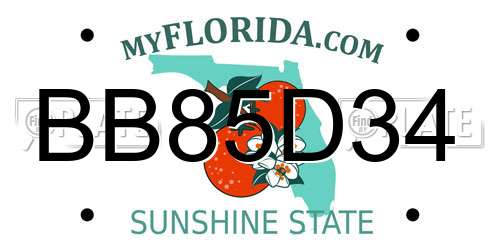 BB85D34 Florida License Plate