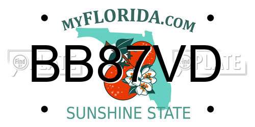 BB87VD Florida License Plate