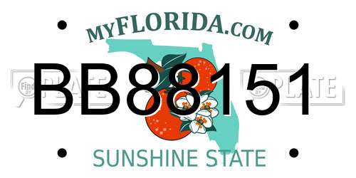 BB88151 Florida License Plate