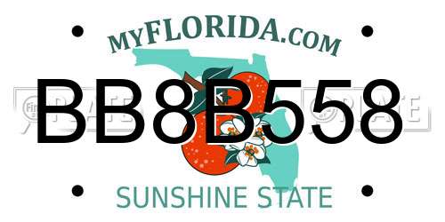 BB8B558 Florida License Plate