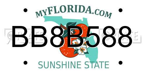 BB8B588 Florida License Plate