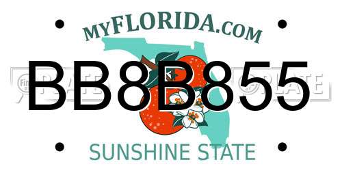 BB8B855 Florida License Plate