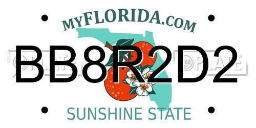 BB8R2D2 Florida License Plate