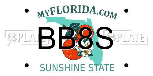 BB8S Florida License Plate