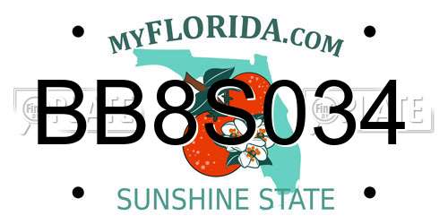 BB8S034 Florida License Plate