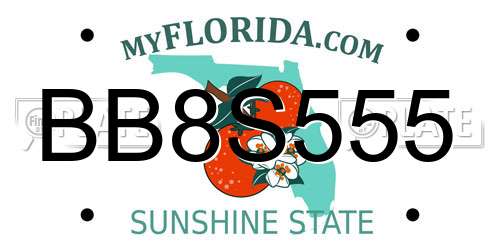 BB8S555 Florida License Plate