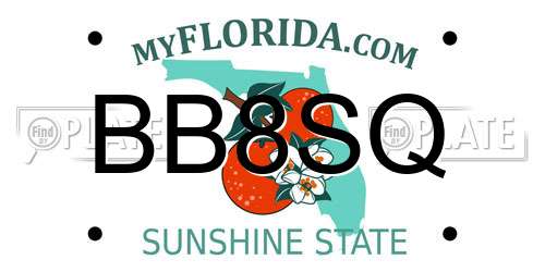 BB8SQ Florida License Plate