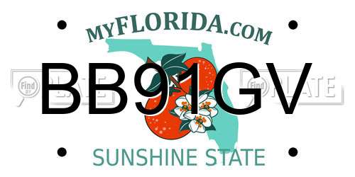 BB91GV Florida License Plate