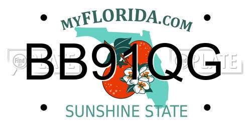 BB91QG Florida License Plate