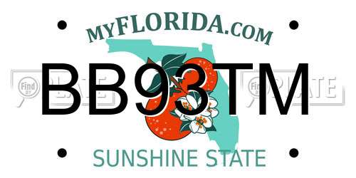 BB93TM Florida License Plate