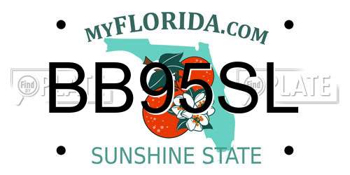 BB95SL Florida License Plate