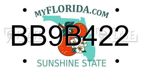 BB9B422 Florida License Plate