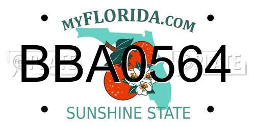 BBA0564 Florida License Plate