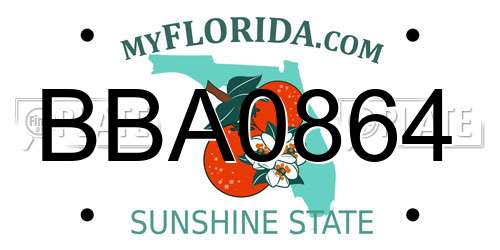BBA0864 Florida License Plate
