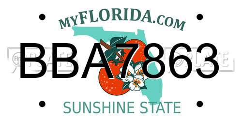 BBA7863 Florida License Plate