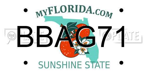 BBAG71 Florida License Plate