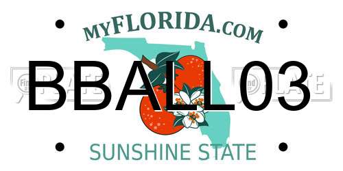 BBALL03 Florida License Plate